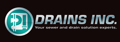 Drains Inc - Plumbing in Spring Grove, Illinois