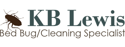 KB Lewis - Cleaning Services in Chicago, Illinois
