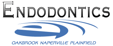 Dietz Matthew K DDS - Dentist in Oak Brook, Illinois
