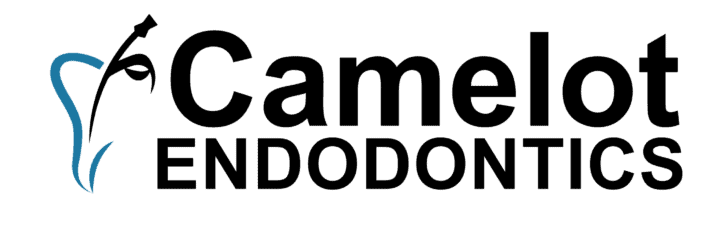 Camelot Endodontics Ltd - Dentist in Freeport, Illinois