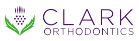 Andrew M. Clark, DDS - Dentist in Lombard, Illinois