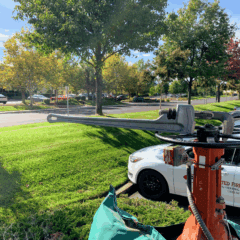 Certified Safe Backflow Testing & Repair – Plumbing in Roseville, California