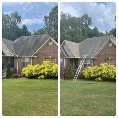 soft wash roof washing and cleaning removing algae and roof stains